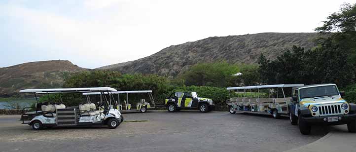 Tram Hanauma Bay Jeep Wrangler